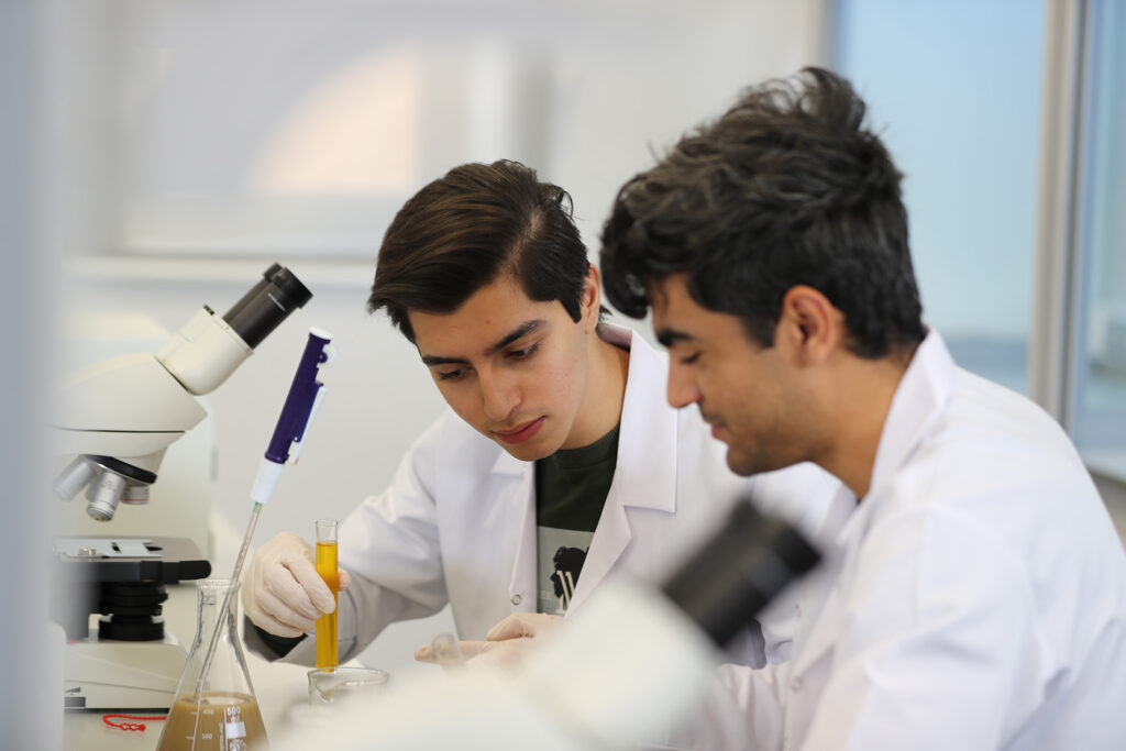 Two pharmacy students working on project.